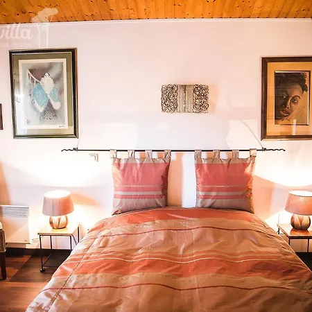 Dipladenia Villa *